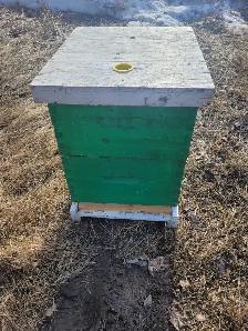 Honeybee Equipment