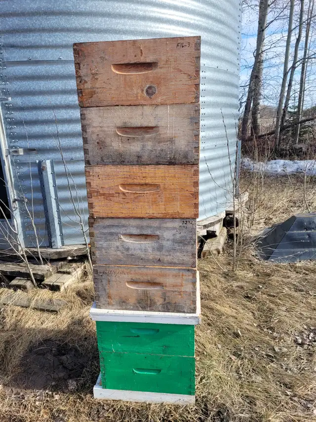 Honeybee Equipment - Photo 2