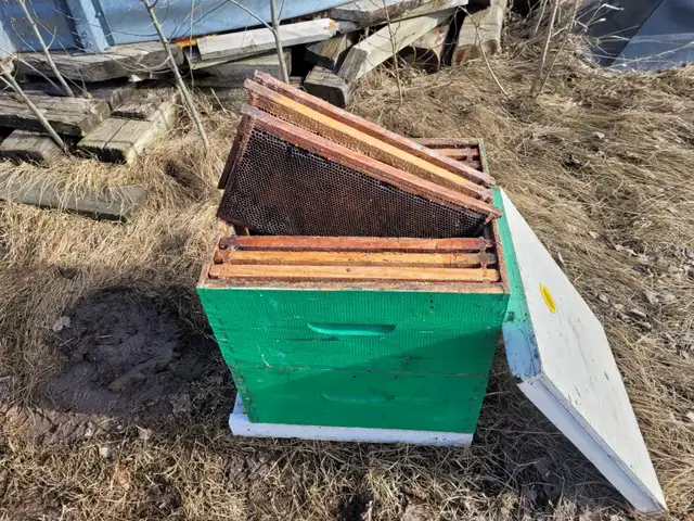 Honeybee Equipment - Photo 3