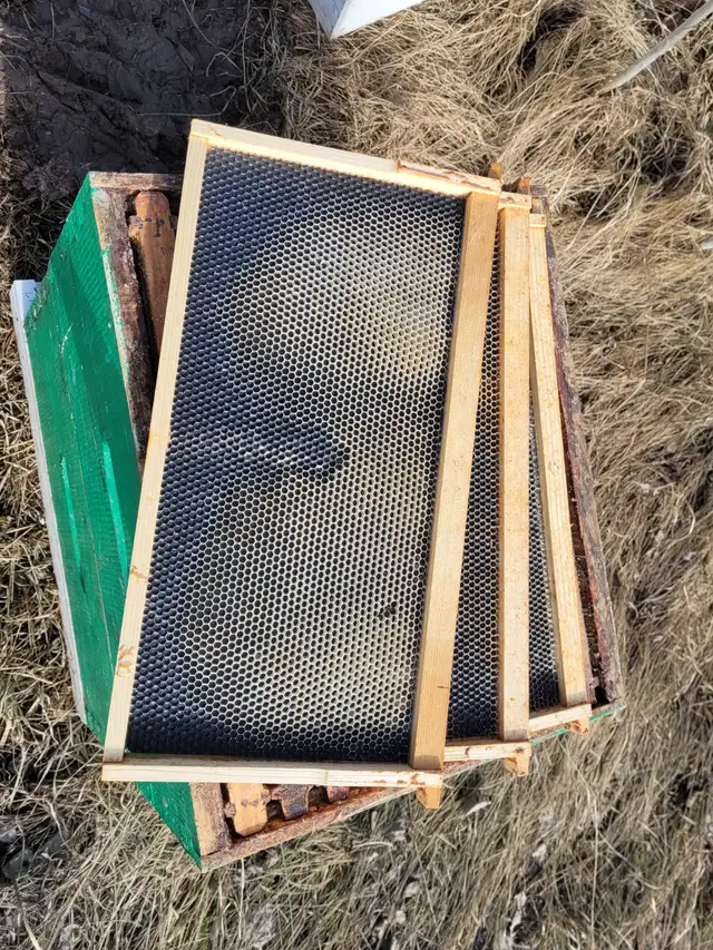 Honeybee Equipment - Photo 4