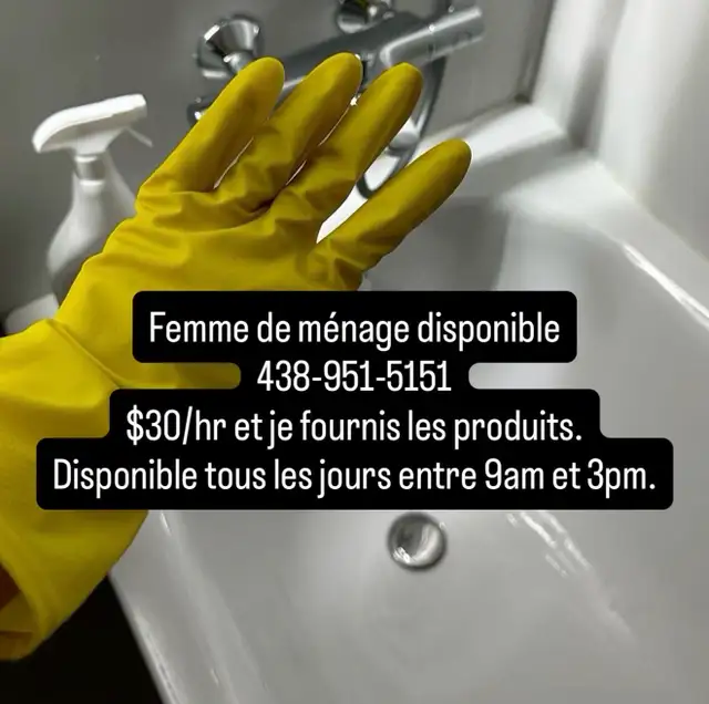 cleaning lady / femme de ménage $30/hr