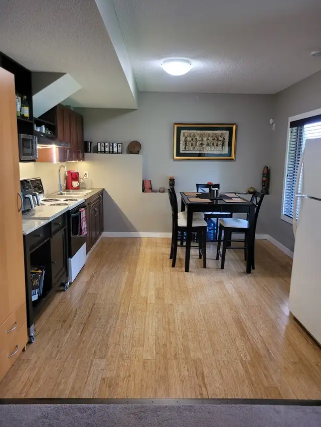 2 bedroom walkout basement suite available now - Photo 5