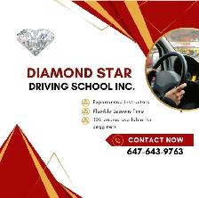 Looking for Car Driving Instructor Toronto Aera