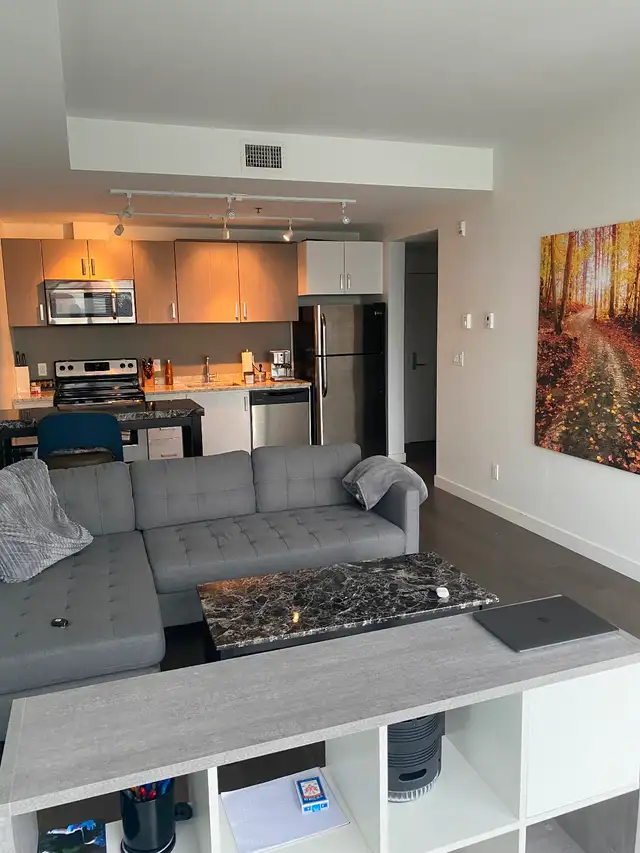WALK TO U OF M!  One Bed/One Bath AVAILABLE IMMEDIATELY! - Photo 7