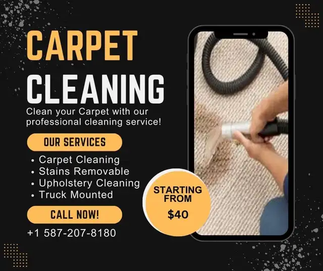 Carpet, Sofa and duct & furnace Cleaner 587-207-8180