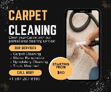 Carpet, Sofa and duct & furnace Cleaner 587-207-8180