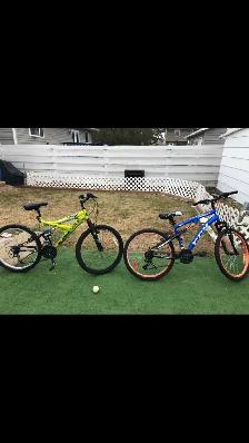 youth or adult bicycle