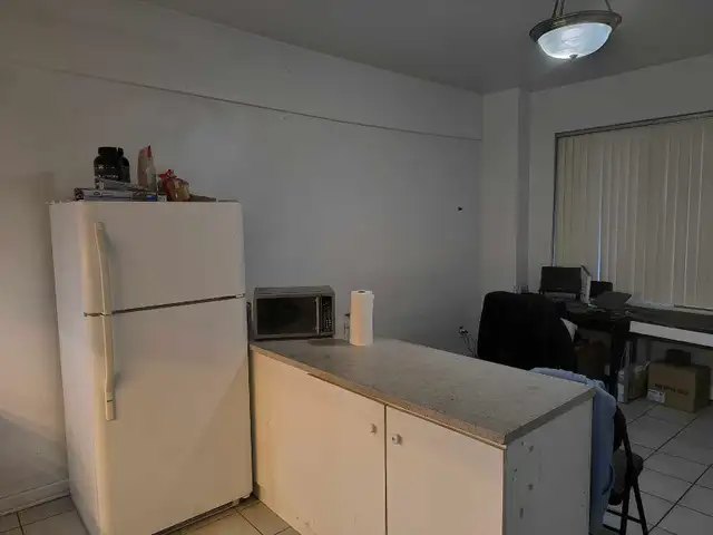 Private Room Available - Montreal Downtown June 1st Move in - Photo 3