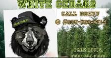 white emerald cedars