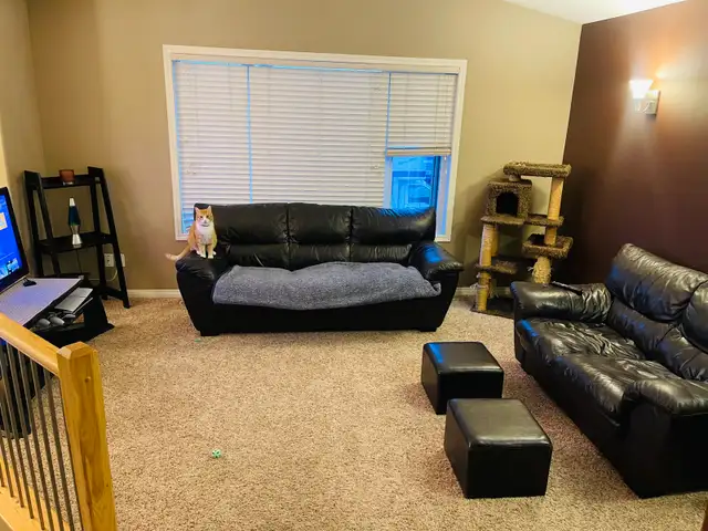 Private Room for Rent - Photo 8
