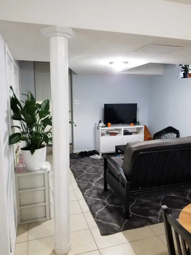 ONE BEDROOM BASEMENT APT. FOR RENT - Photo 4