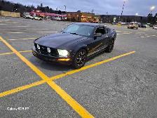 2005 Ford Mustang