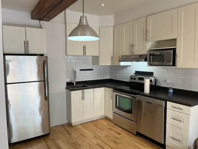 Beau logement sur 2 étages  rénové a Rosemont - Photo 6