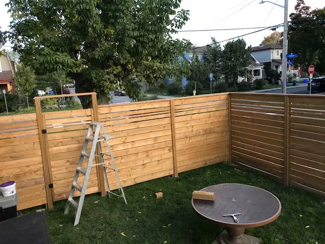 Hedge trimming  (near College Square) - Photo 6