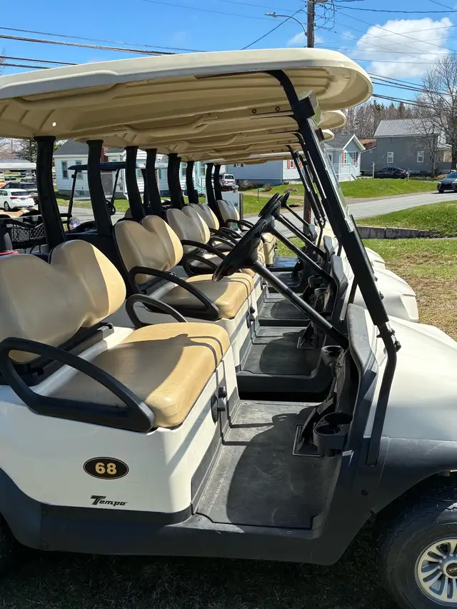 Golf Carts - Support Local