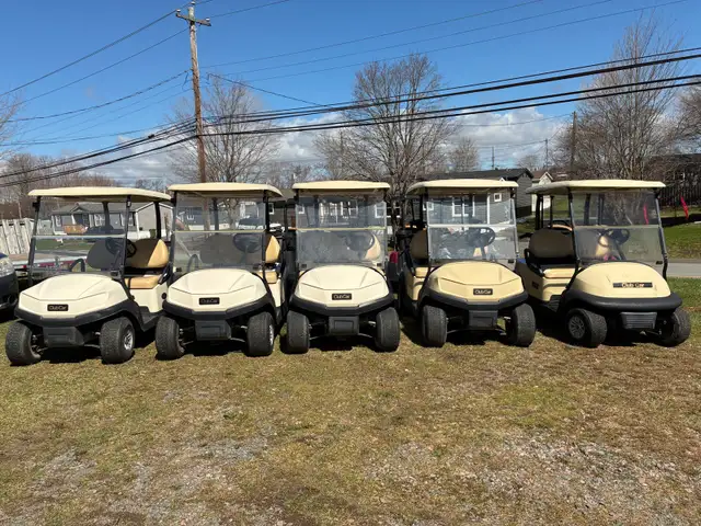 Golf Carts - Support Local - Photo 2