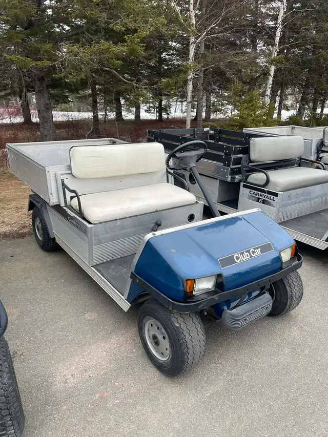 Golf Carts - Support Local - Photo 4