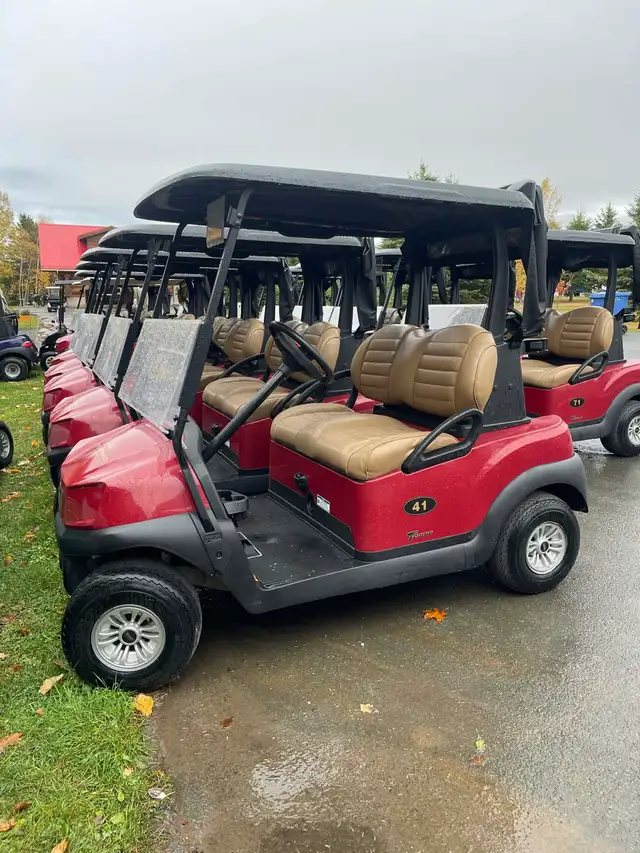 Golf Carts - Support Local - Photo 6