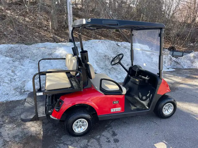 Golf Carts - Support Local - Photo 9