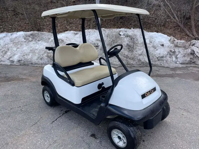 Golf Carts - Support Local - Photo 10