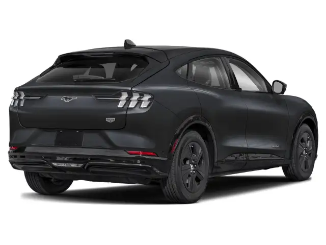 2021 Ford Mustang Mach-E - Photo 2
