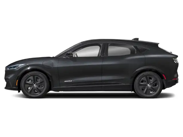 2021 Ford Mustang Mach-E - Photo 3