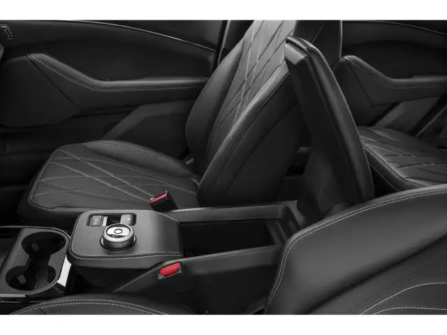 2021 Ford Mustang Mach-E - Photo 11