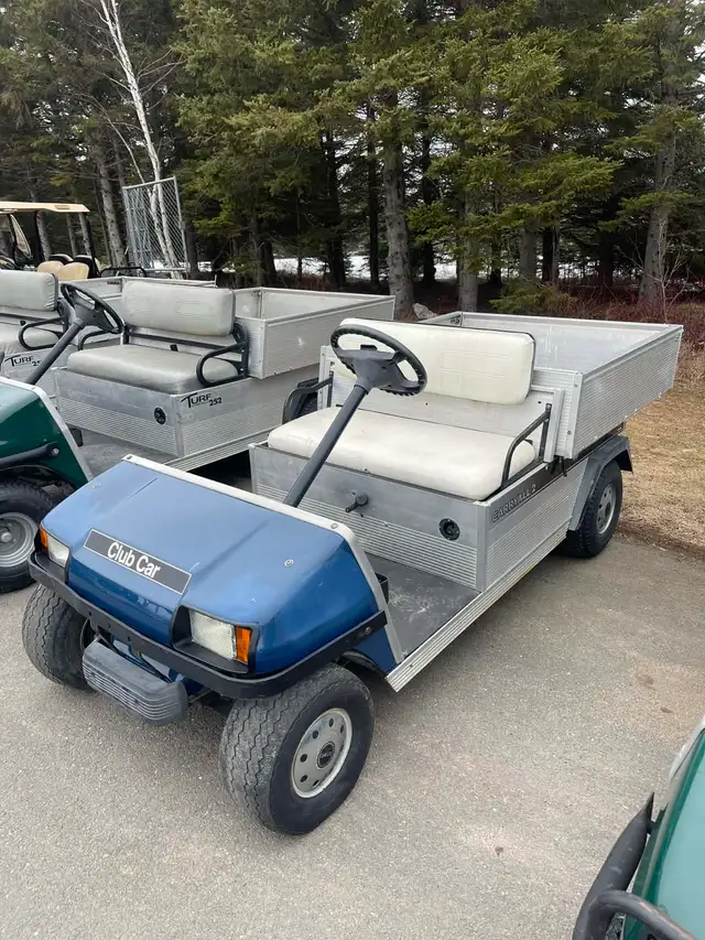 Golf Carts - Support Local - Photo 5
