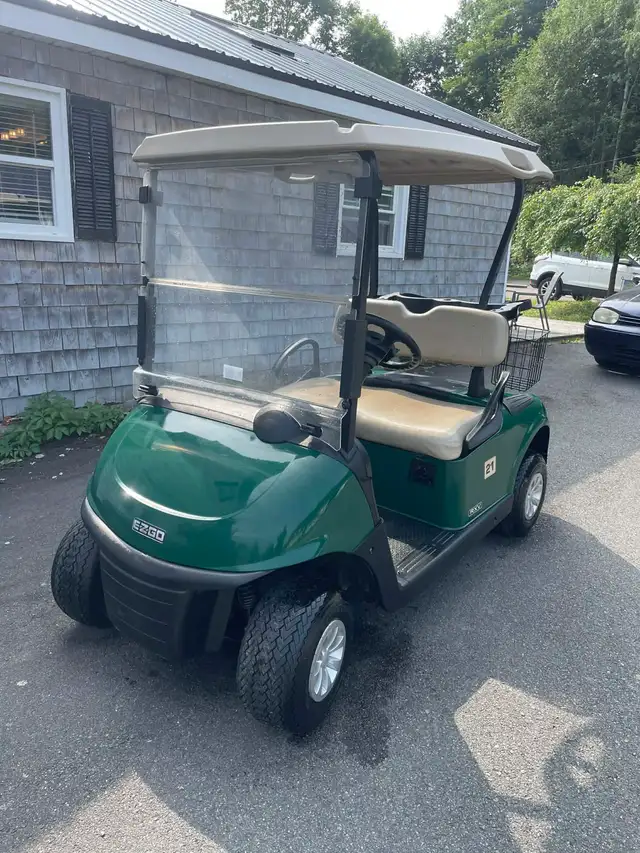 Golf Carts - Support Local - Photo 9