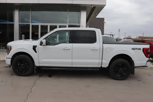 2023 Ford F-150 XL - Photo 3
