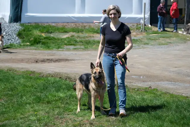 Fully Trained Dog at Cost (Board&Train) — Be Our Featured Client - Photo 2