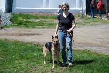 Fully Trained Dog at Cost (Board&Train) — Be Our Featured Client - Photo 2
