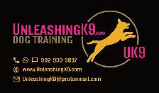 Fully Trained Dog at Cost (Board&Train) — Be Our Featured Client - Photo 6