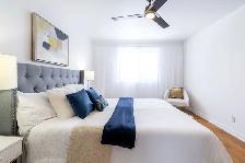 6 a 12 mois location / 6 to 12 months rental - Photo 9