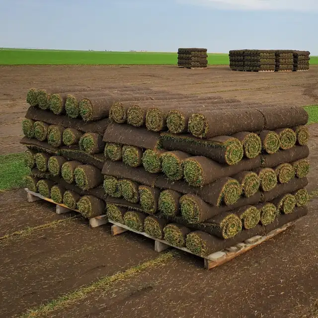 Fresh Cut Sod – $35 (9 Rolls Available)