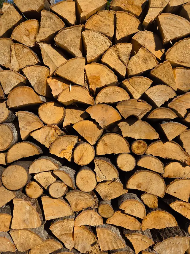 Poplar Firewood, 120$/Cord, No Delivery