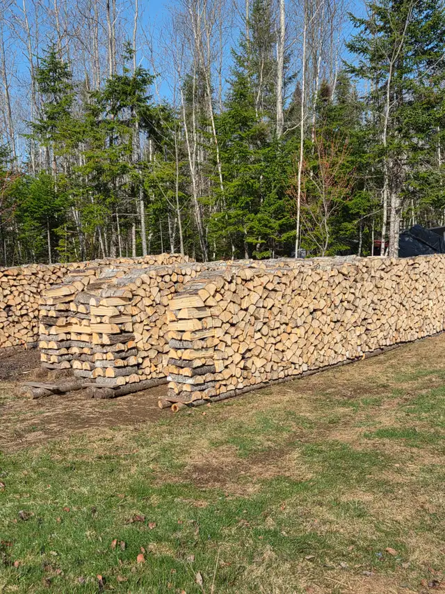 Poplar Firewood, 120$/Cord, No Delivery - Photo 2