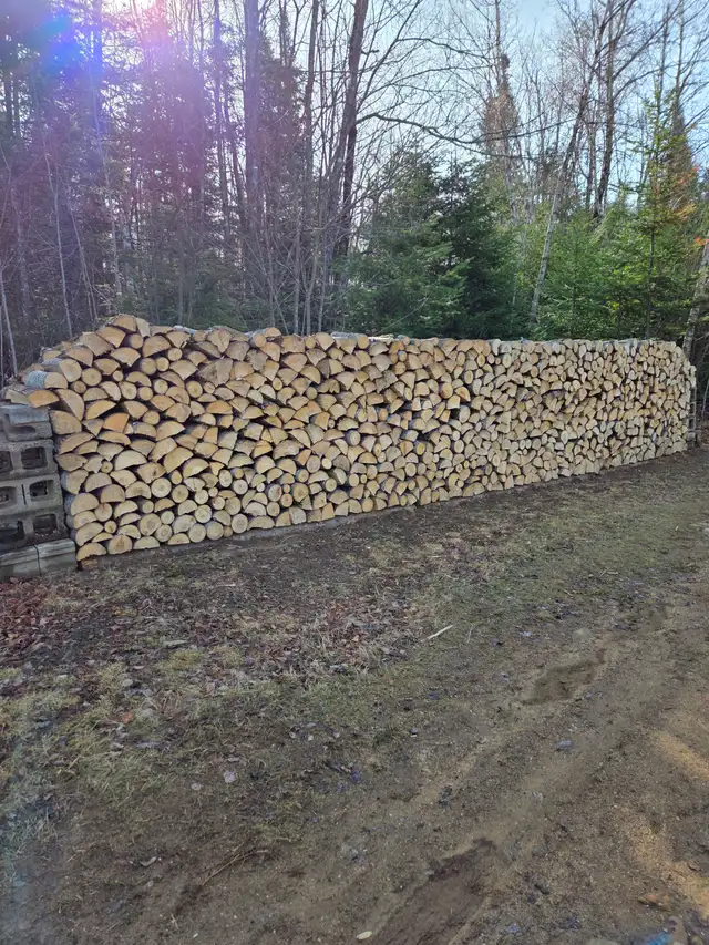 Poplar Firewood, 120$/Cord, No Delivery - Photo 3