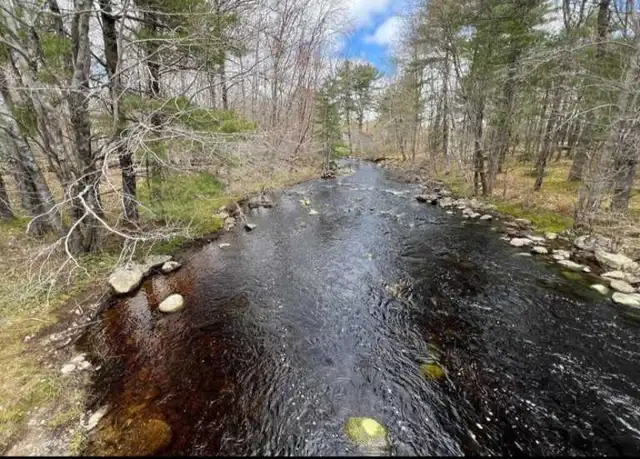 3.89 Acres on First Christopher Lake, Queens County, NS - Photo 2