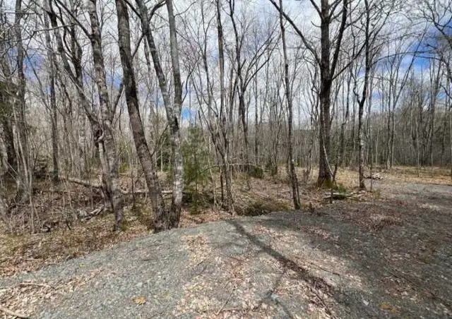 3.89 Acres on First Christopher Lake, Queens County, NS - Photo 5