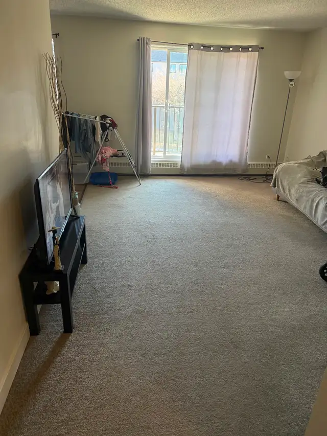 Lease Takeover Available Starting June 1 - Photo 2