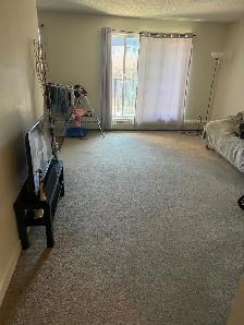 Lease Takeover Available Starting June 1 - Photo 2