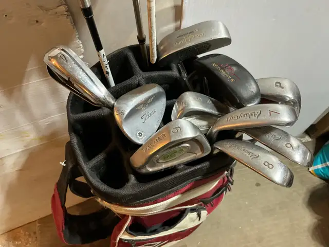 Bâton de golf TAYLOR BURNER   sac   carosse 70 $