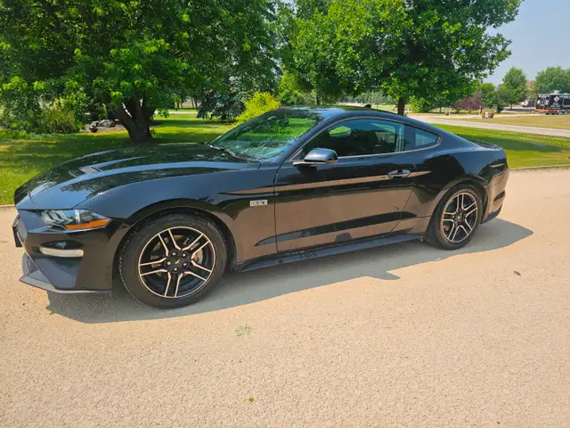 2020 Ford Mustang Ecoboost Turbo Safetied Finance Available