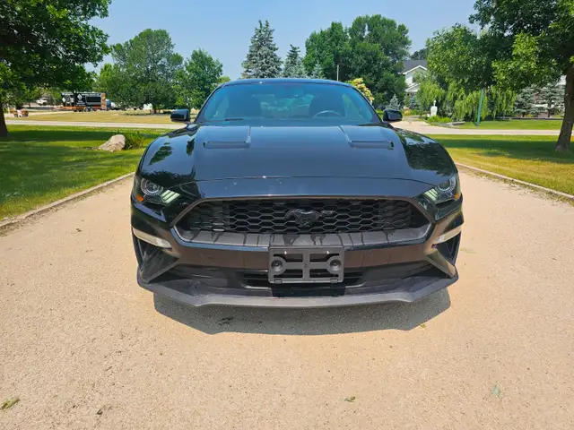 2020 Ford Mustang Ecoboost Turbo Safetied Finance Available - Photo 3