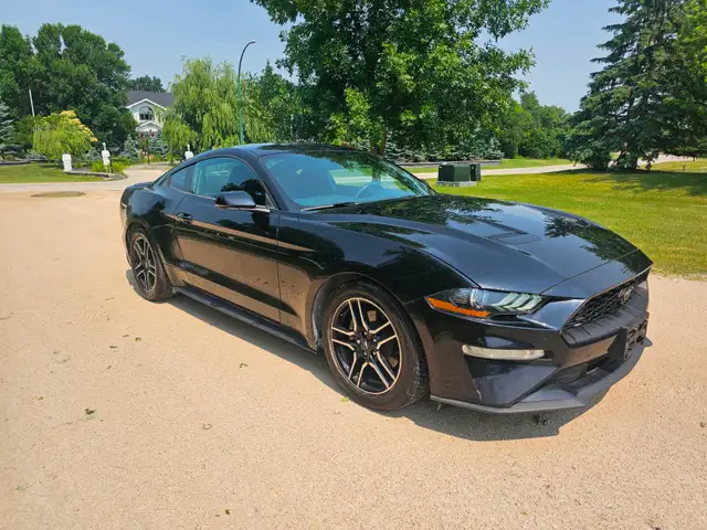 2020 Ford Mustang Ecoboost Turbo Safetied Finance Available - Photo 4