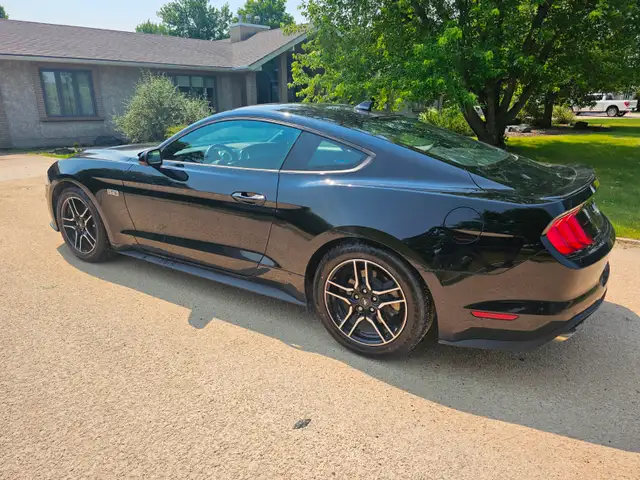 2020 Ford Mustang Ecoboost Turbo Safetied Finance Available - Photo 5