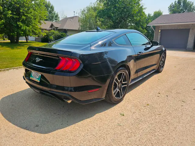 2020 Ford Mustang Ecoboost Turbo Safetied Finance Available - Photo 9
