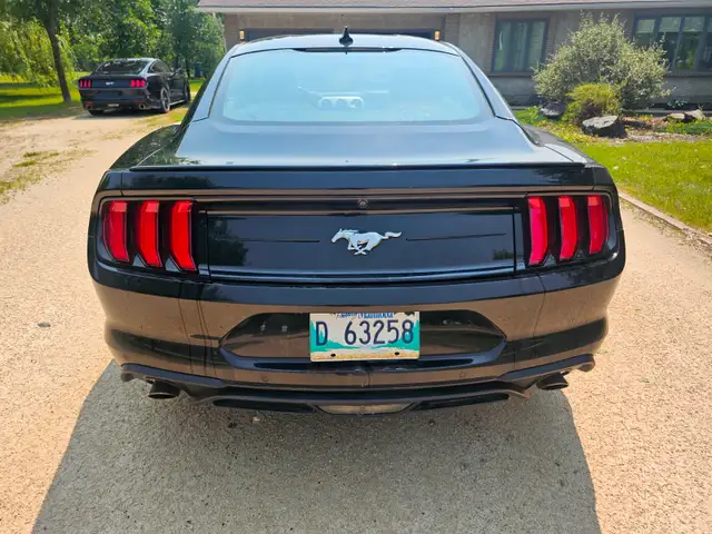 2020 Ford Mustang Ecoboost Turbo Safetied Finance Available - Photo 10