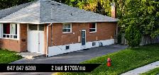 2 Bdr. Newmarket $1700
